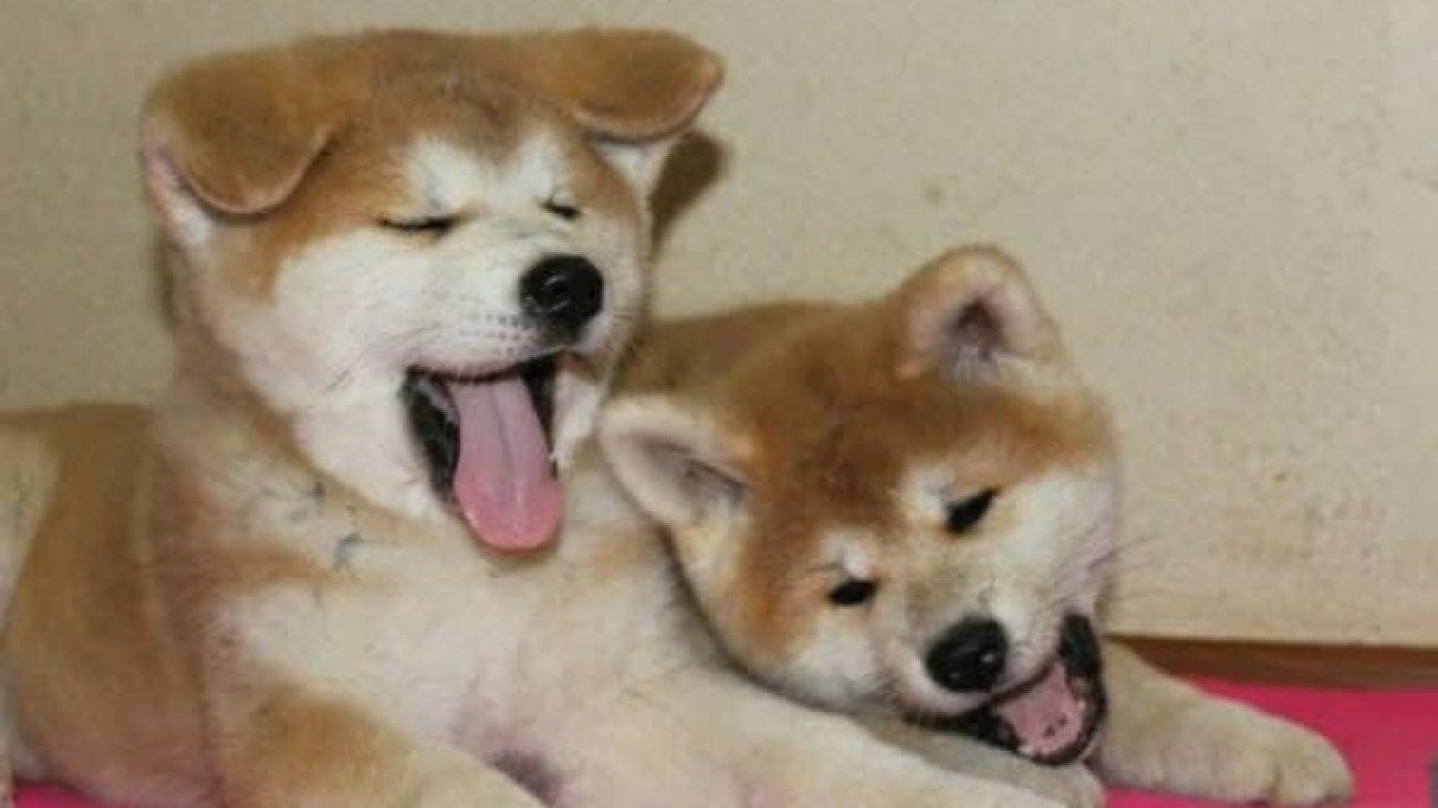 photo_2021-07-03_03-50-44