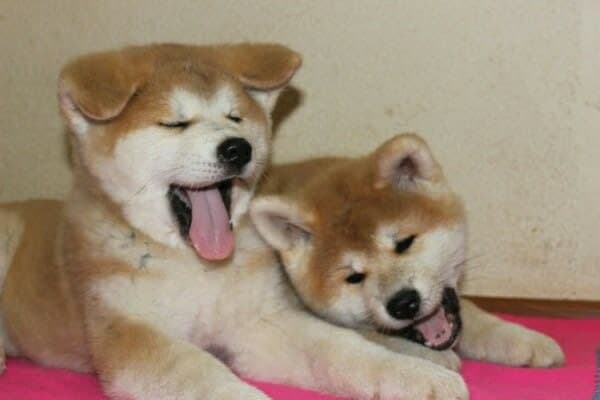 photo_2021-07-03_03-50-44