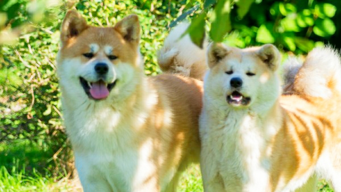 WhatsApp Image 2021-08-11 at 06.55.12