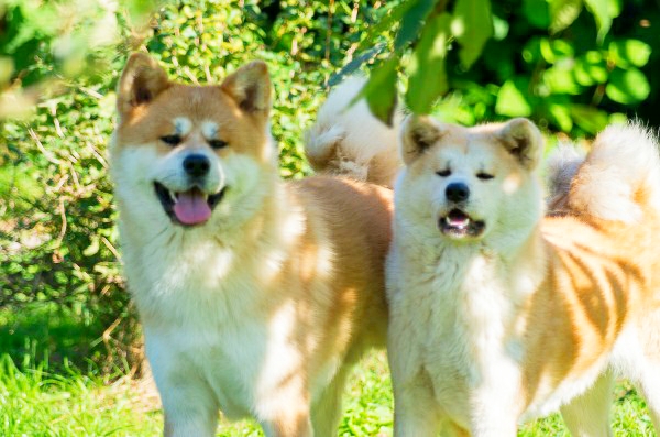 WhatsApp Image 2021-08-11 at 06.55.12