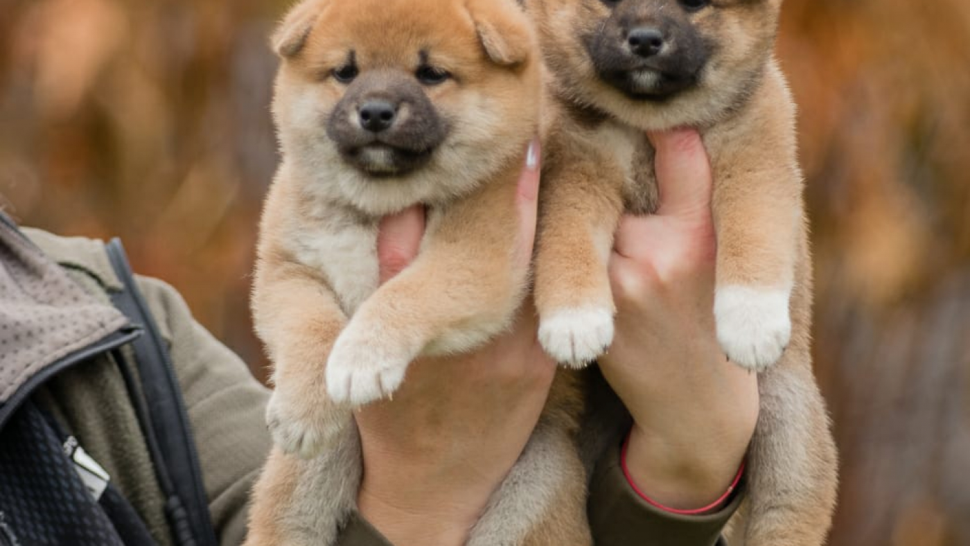 WhatsApp Image 2022-11-04 at 13.14.43