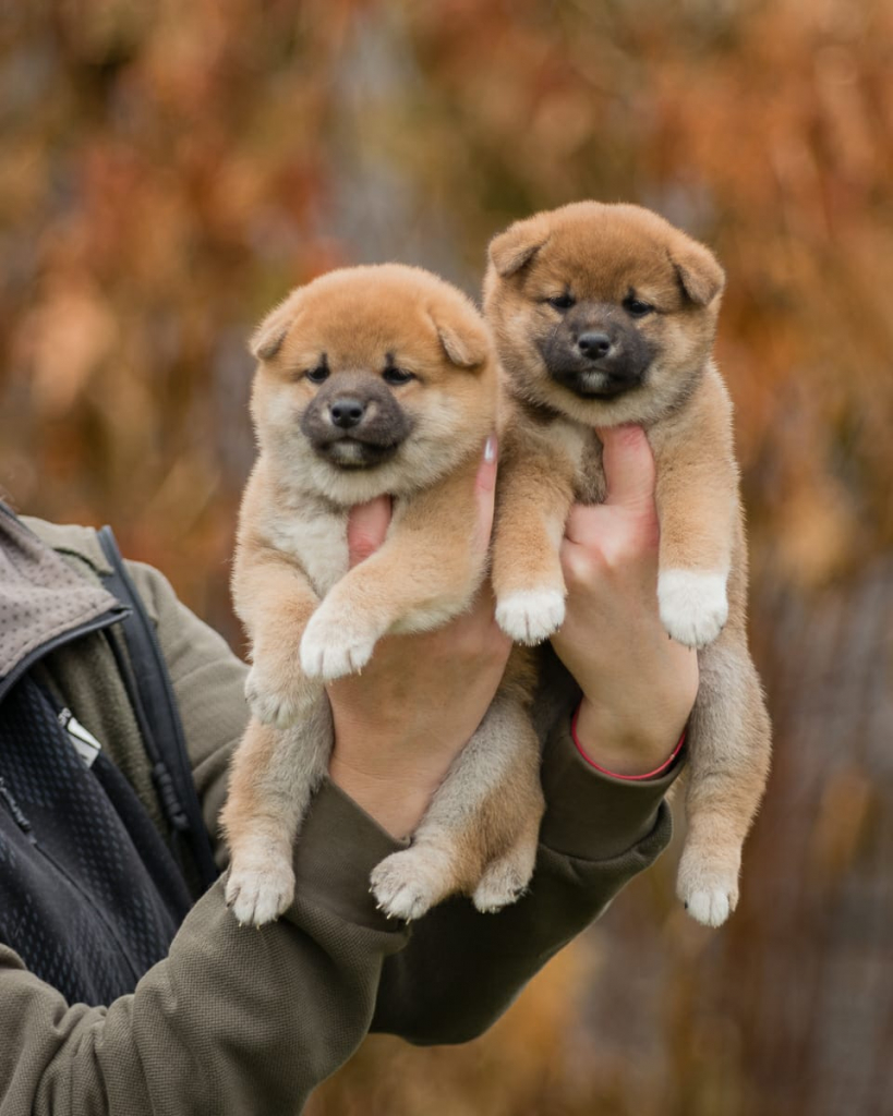 WhatsApp Image 2022-11-04 at 13.14.43