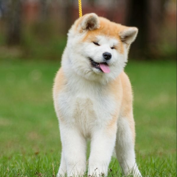 WhatsApp Image 2021-04-28 at 06.55.12