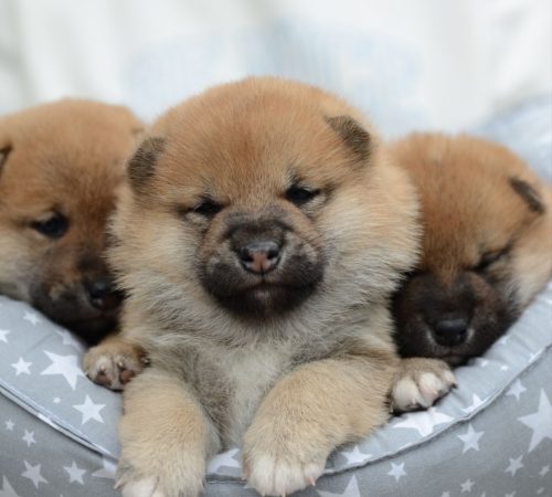 photo_2024-04-19_15-54-30-1