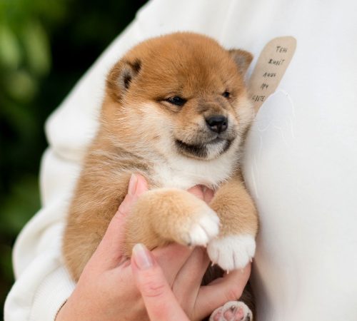 photo_2024-05-30_09-30-46 (4)