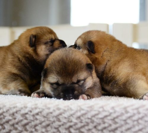 photo_2024-11-22_09-58-44